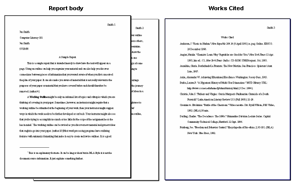 what is an mla report