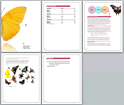 word templates for report