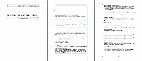 template business report professional design 3 pages