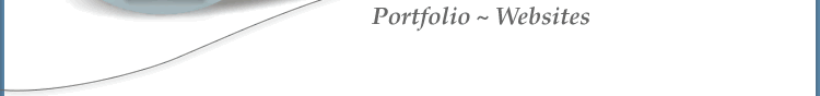 Portfolio ~ Website